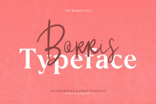 Borris: Handcrafted Typography, Perfected
