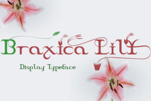 Braxica Lily: A Thoughtful Choice for Expressive Typography