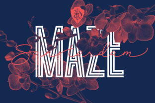 Sansterdam Maze: Where Bold Typography Meets Purpose-Driven Design